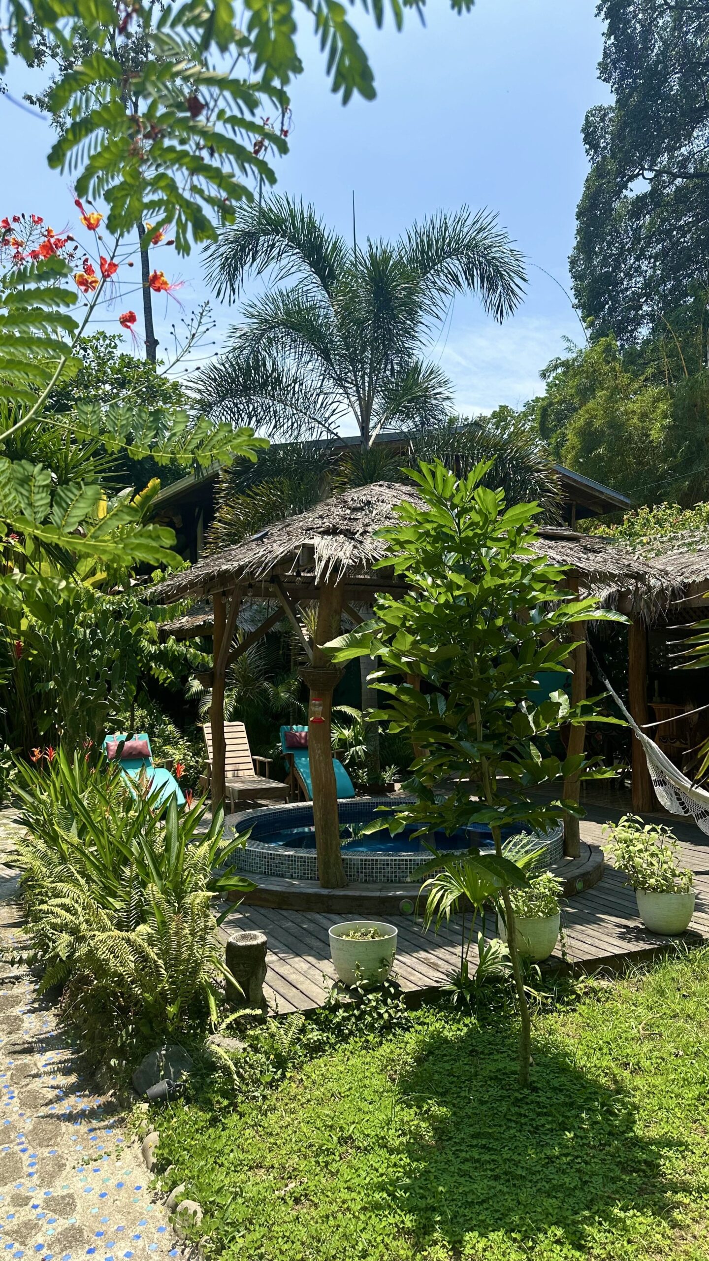 Tropical garden view with hammock, lounge chairs, and wooden deck at Casa Mambo